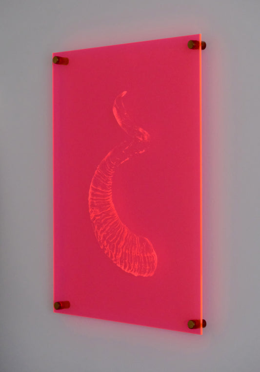 BÉRUBÉ PATRICK - artiste visuel