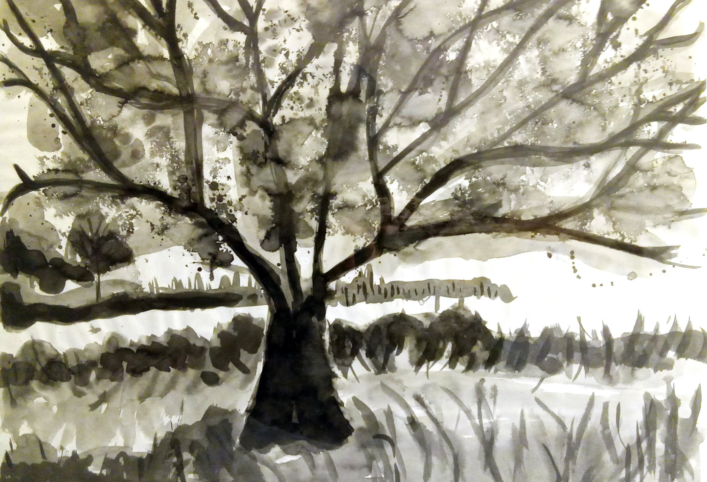 Paysage