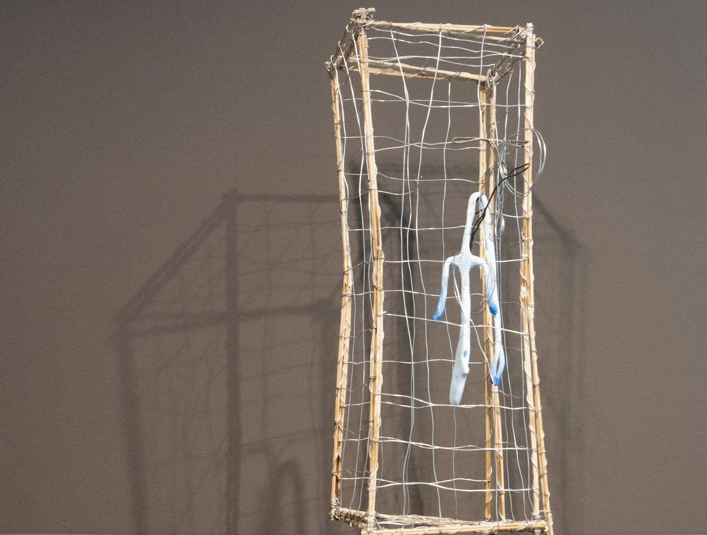 S'en sortir de la cage