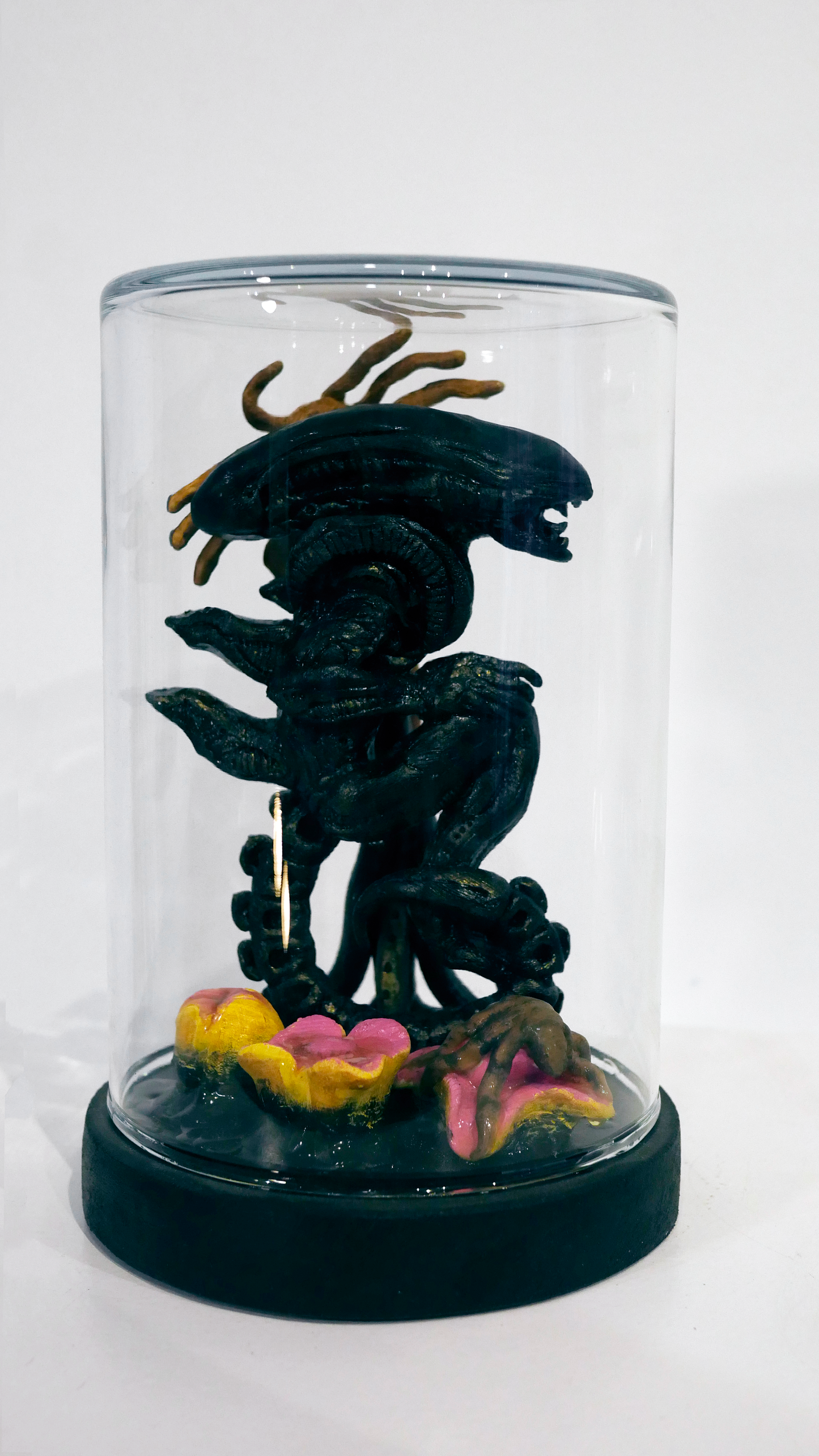 Product Curiosities