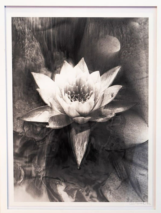 Carl Lessard - Sans titre