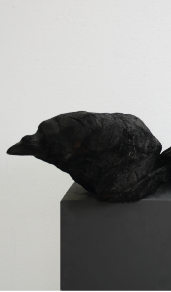 Maskull Lasserre - Corbeaux